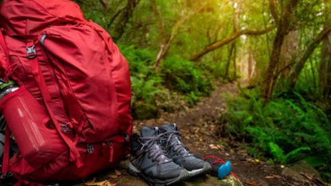 How to Choose the Right Day Hiking Gear