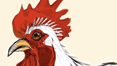 Mudchute Park and Farm Chicken Keeping Course
