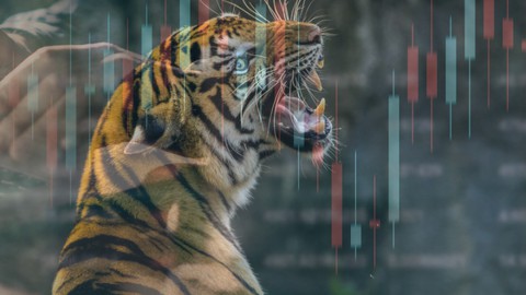 Become a Day Trading Predator with this complete system