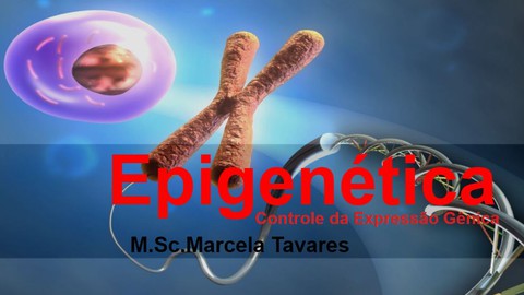 Epigenética - Introdução e Conceitos