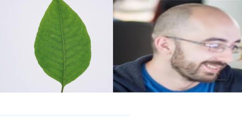 MongoDB: analizza i dati con un Database NoSQL