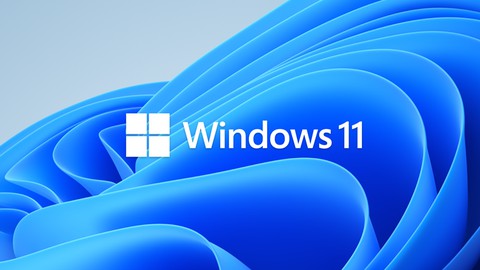처음 시작하는 Windows 11 (윈도우 11) 기능 제대로 배우기