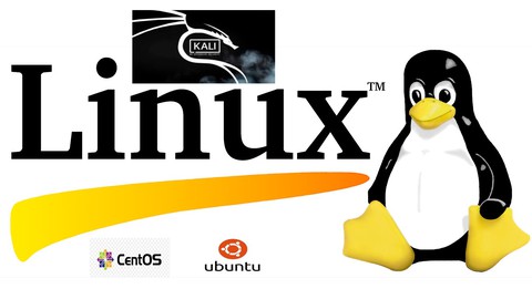 Sıfırdan Temel Linux (Kali) Eğitimi | Pentest Araçları Giriş