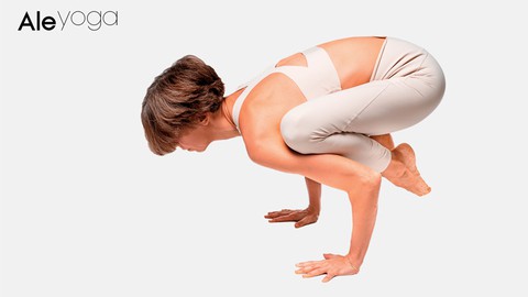 Yoga para principiantes GRATIS - clases de yoga de 30 min