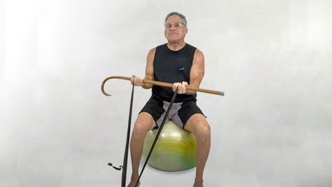 Balance Ball With Resistance Bands: Certification Level 2