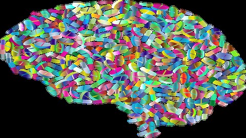 Your Brain on Drugs (Legal & Illicit)