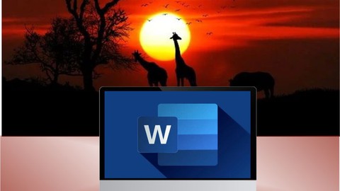 Learn Microsoft Word 365 in the Evening