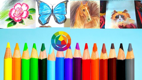 Easy guide to draw with colored pencils for beginners