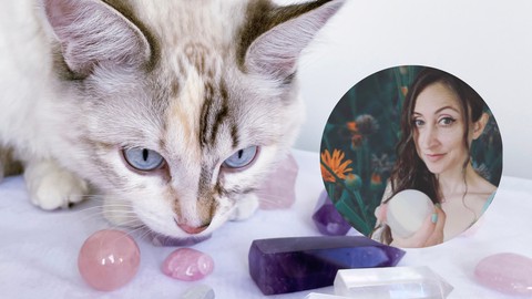 Animal Reiki/Crystal Healing Certification with Nicole Marie