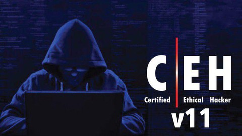 Certified Ethical Hacker CEH 312-50v11 Practice Exams