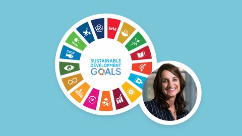 How to identify and deliver Sustainable Development Goals