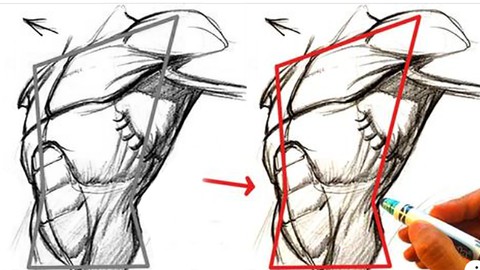 How to Pen Drawing - ONE SHAPE I Torso to Draw Any Body