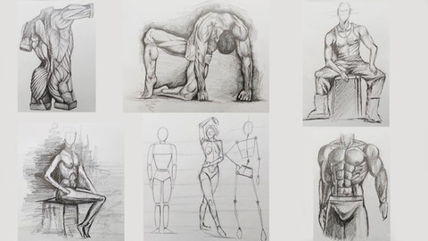 Figure Drawing Course From Beginner to Advanced