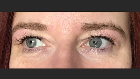 Professional brow tinting & shaping with wax certificate
