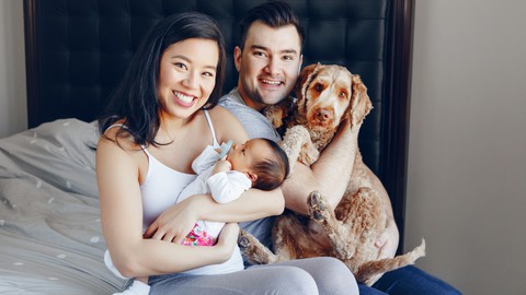 Dog Training for Expectant Parents
