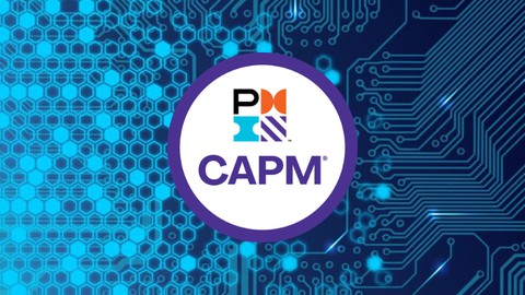 PMI-CAPM Practice Tests