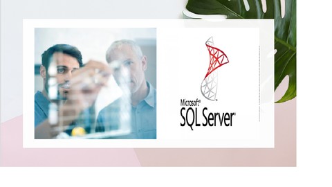 تعلم SQL Server Development من البدايه للاحتراف