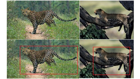 Object Detection on Custom Dataset With Keras Using Python