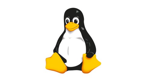 Linux Basics: All You Need To Know To Start (2022)
