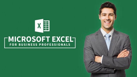 Microsoft Excel for Business Professionals