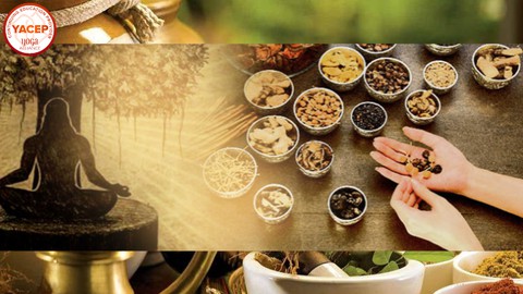Essentials Of Ayurveda: A Holistic Course On Food Science 24