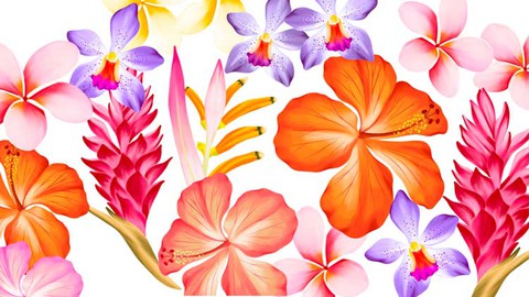 Procreate - Illustrate Tropical Flowers