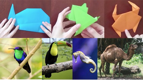 Biodiversidad animal en origami