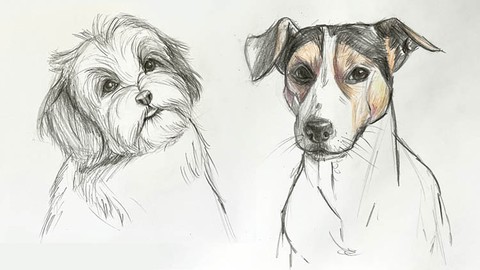 The Ultimate Guide to drawing Dogs