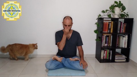 Pranayama: The Art of Yogic Breath