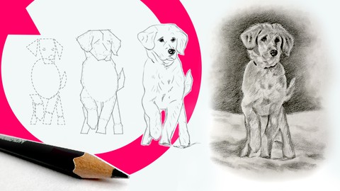 How to Draw a Dog Step by Step - Animal Drawing Course