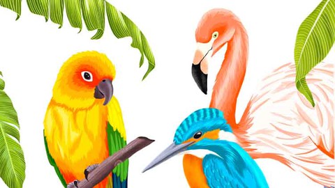 Procreate - Illustrate Tropical Birds