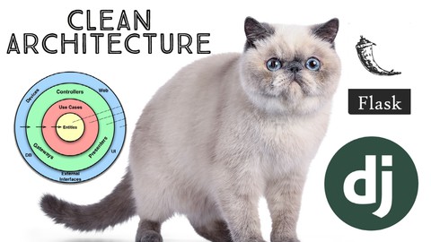 Utilizando Clean Architecture DDD e TDD com Django e Flask