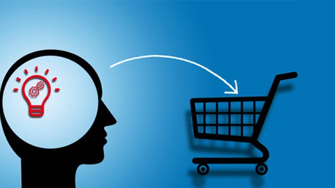 Consumer Psychology and Marketing Strategies