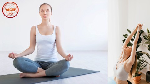 YOGA: ONLINE YOGA CLASS DESIGNING FOR SENIORS & BEGINNERS 24