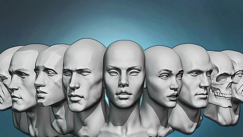 Head anatomy and sculpting exercises course