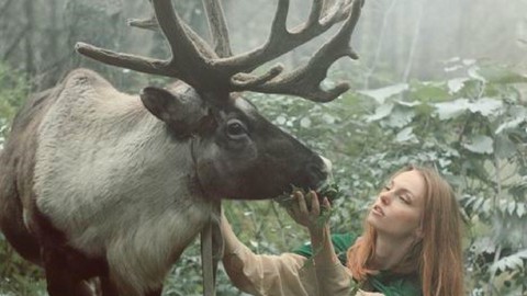 Saami Mythology, Lapland's Gods, Goddesses Magical Creatures