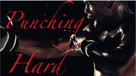 Boxing Course fitness & marital arts The art of punching