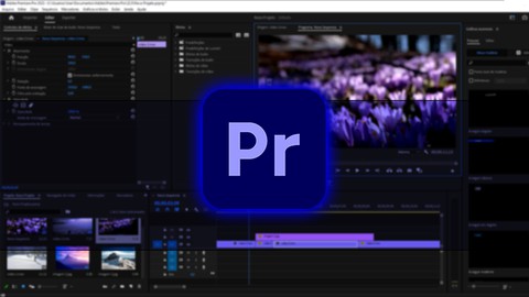Curso Rápido de Adobe Premiere Pro