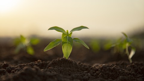 Learn Soil science from the Scratch