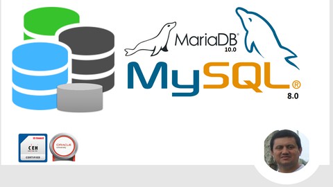 MySql / MariaDB Fulltext Search
