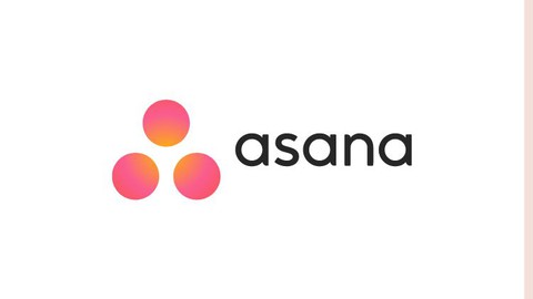 Asana Project Management for Beginner in Urdu/Hindi