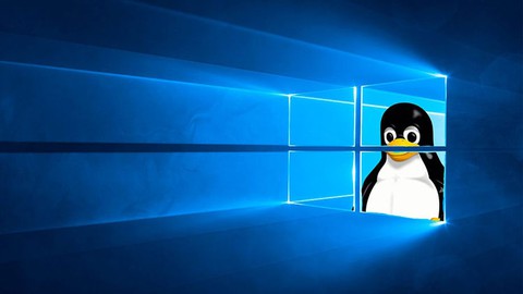 Windows-Subsystem für Linux (WSL)