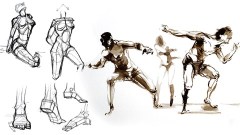 Masterclass in Figure Drawing Techniques and Human Anatomy
