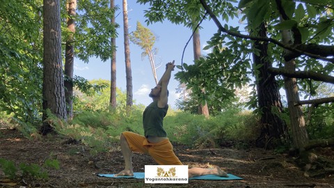 Beginners Yoga – full course by Yogantahkarana