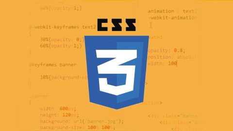 Learn CSS Transition and Animation 