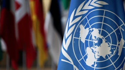 How to start a career at the United Nations (UN)?