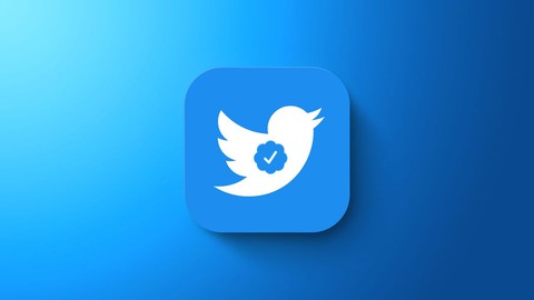 Maîtriser Twitter Blue: Comprendre les fonctionnalités