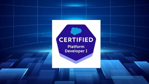 Salesforce Certified Platform Developer I Practice Test 2024