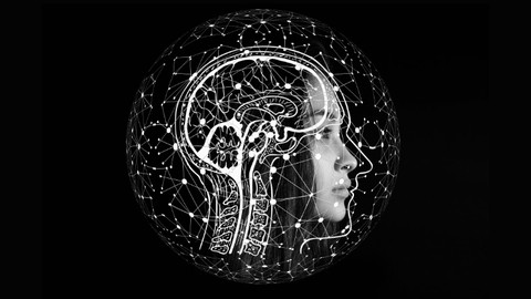 Understanding Neurofeedback - the Fundamentals