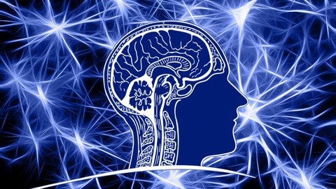 Brain Rewiring Blueprint: Unlock Your Potential in 45 Minute